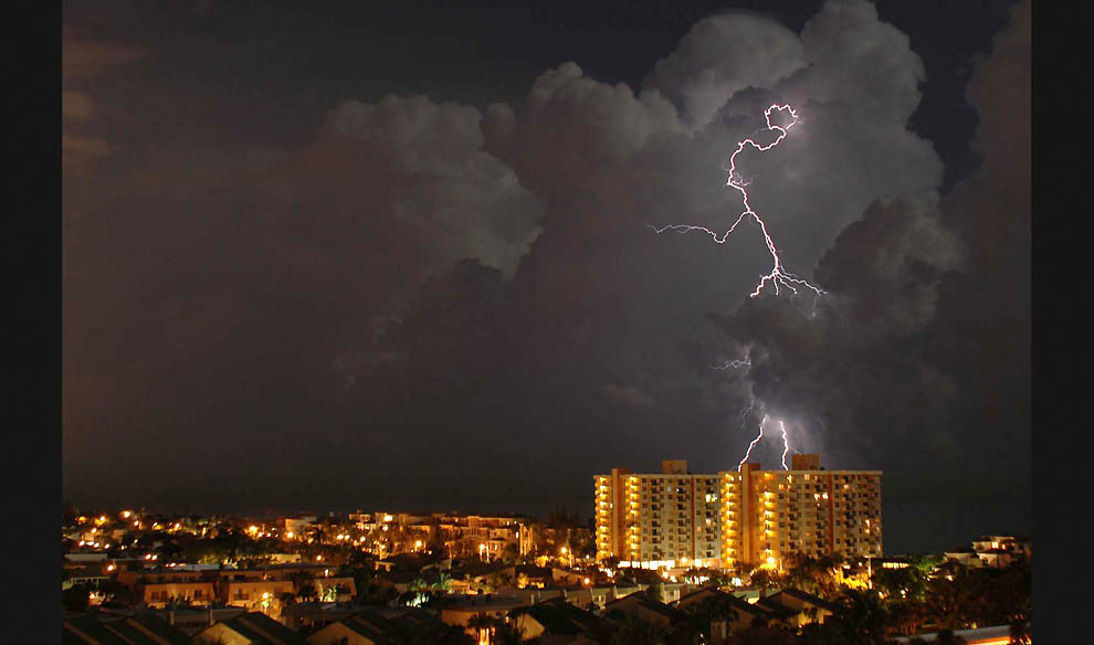 Победители 7-го ежегодного фотоконкурса Focus on Nature - ФОТОСЕССИЯ