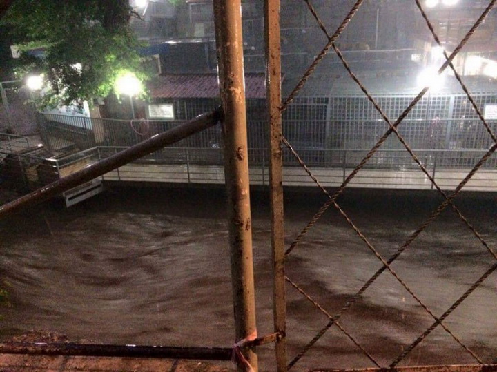 Трагедия в Тбилиси: по городу гуляют дикие звери - ОБНОВЛЕНО - ФОТО - ВИДЕО