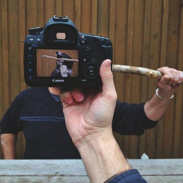 Животные - копии своих хозяев - ФОТОСЕССИЯ