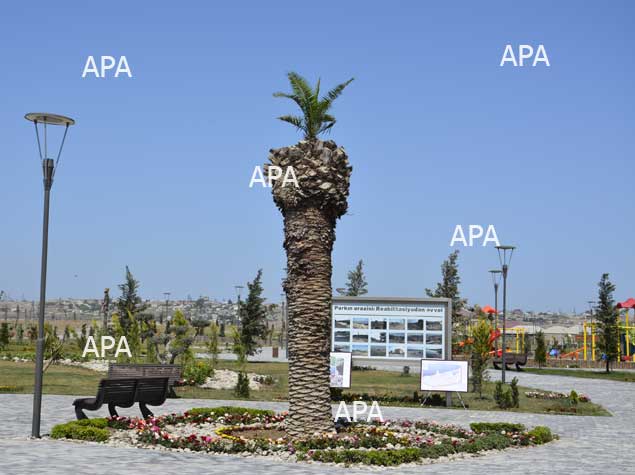 В поселке Рамана открылся новый парк отдыха - ФОТО