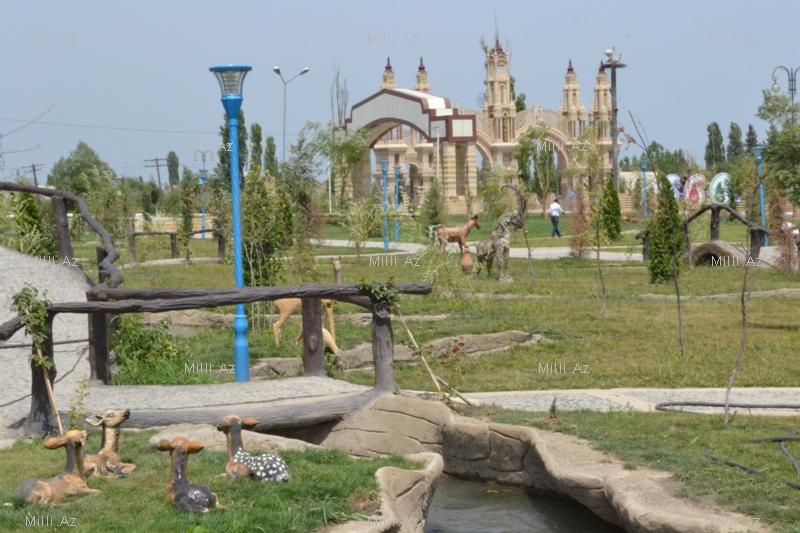 В одном из районов Азербайджана разбит удивительный парк - ФОТО