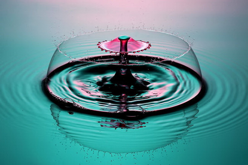 "Картинная галерея" Day.Az: Удивительная красота капель - ФОТО