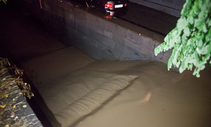 Трагедия в Тбилиси: по городу гуляют дикие звери - ОБНОВЛЕНО - ФОТО - ВИДЕО