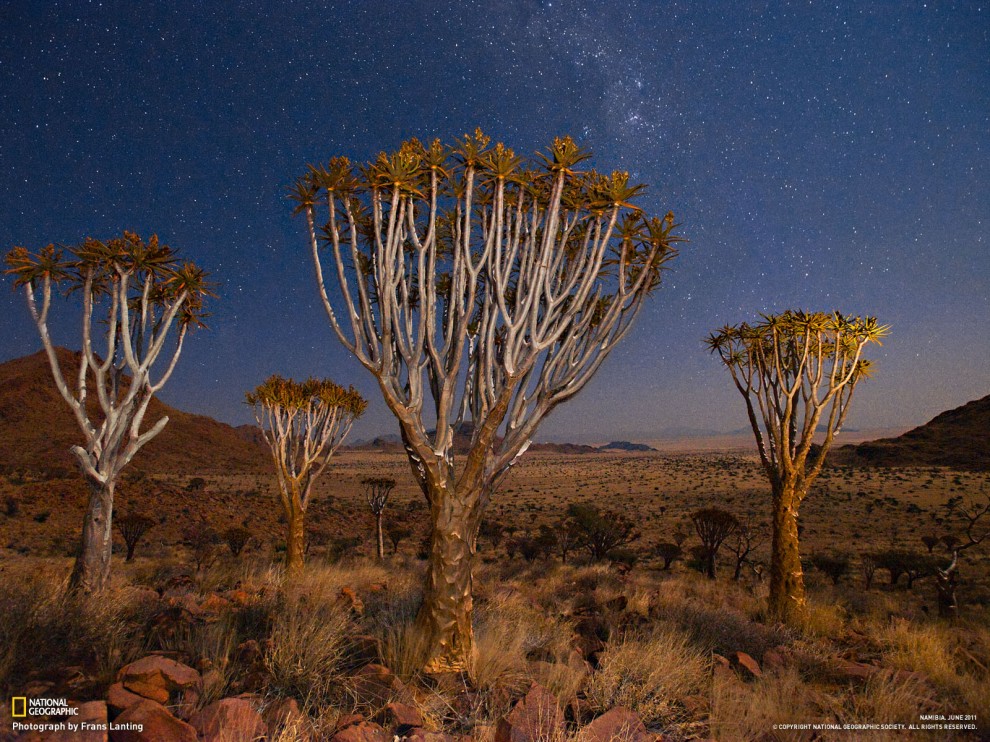 Обои для рабочего стола от National Geographic за март - ФОТОСЕССИЯ