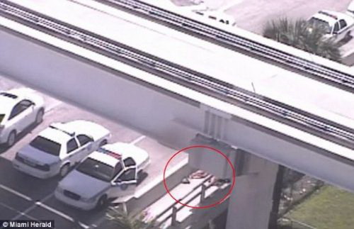 Обнародована фотография застреленного в Майами каннибала - ОБНОВЛЕНО – ФОТО - ВИДЕО