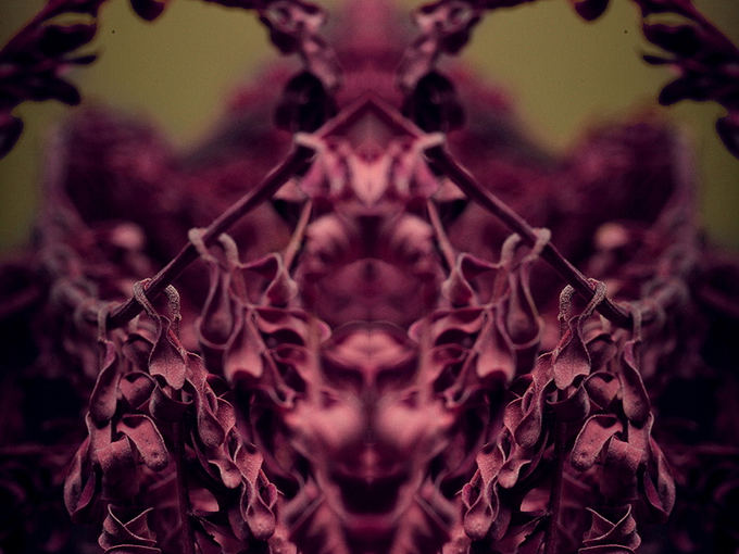 "Картинная галерея" Day.Az: Современный художник Саид Халифа - ФОТО