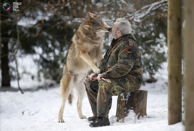 Необычный парк: жизнь с волками - ФОТОСЕССИЯ
