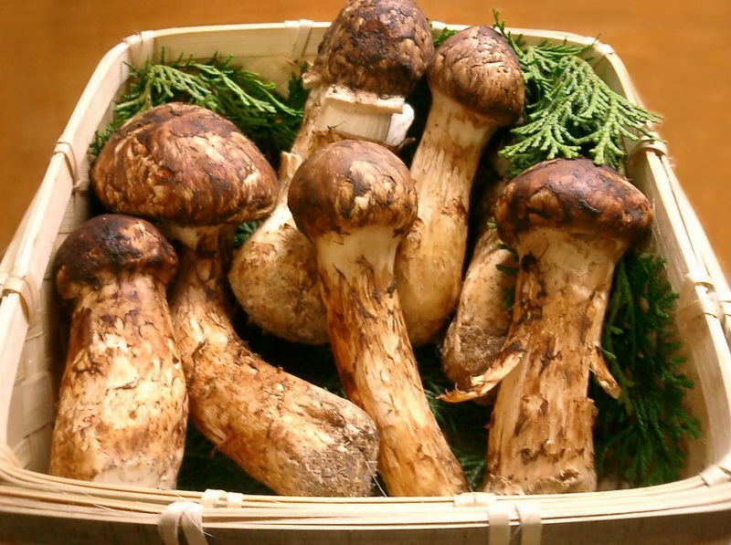 10 самых дорогих продуктов питания в Японии - ФОТОСЕССИЯ