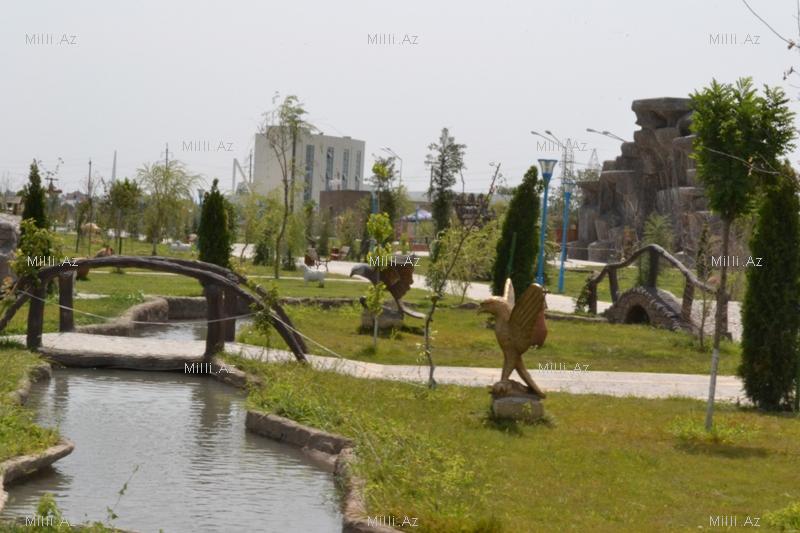 В одном из районов Азербайджана разбит удивительный парк - ФОТО