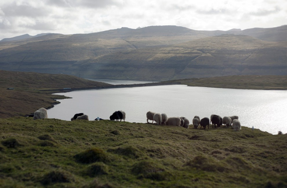 Живописные виды Фарерских островов - ФОТОСЕССИЯ