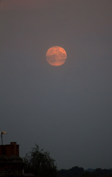 Земляне увидели самое яркое и красивое суперлуние 2014 года - ОБНОВЛЕНО - ФОТО