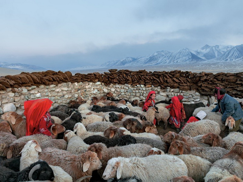 Изумительные обои для рабочего стола от National Geographic за апрель - ФОТОСЕССИЯ