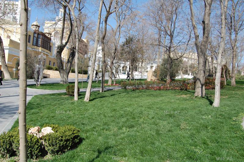 Очарование весеннего Баку - ФОТОСЕССИЯ