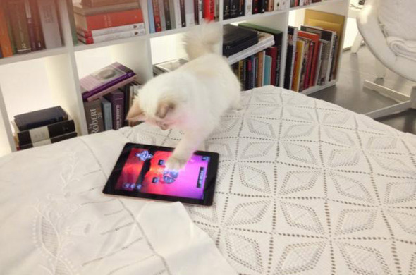 Креативный директор Chanel представил образы любимицы индустрии моды - ФОТО