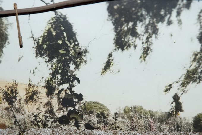 "Картинная галерея" Day.Az: Необычные пейзажи Лауры Плейгман - ФОТО