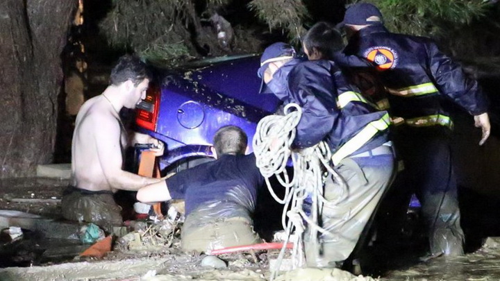 Трагедия в Тбилиси: по городу гуляют дикие звери - ОБНОВЛЕНО - ФОТО - ВИДЕО