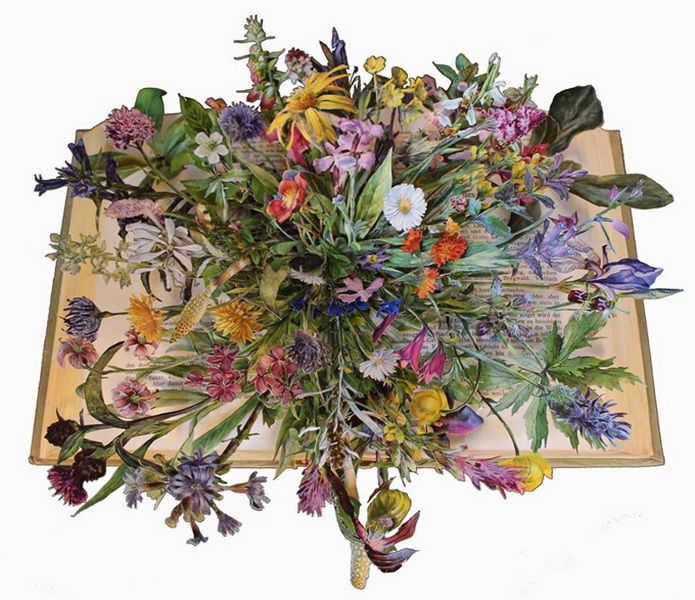 "Картинная галерея" Day.Az: Композиции из книг Керри Миллер - ФОТО