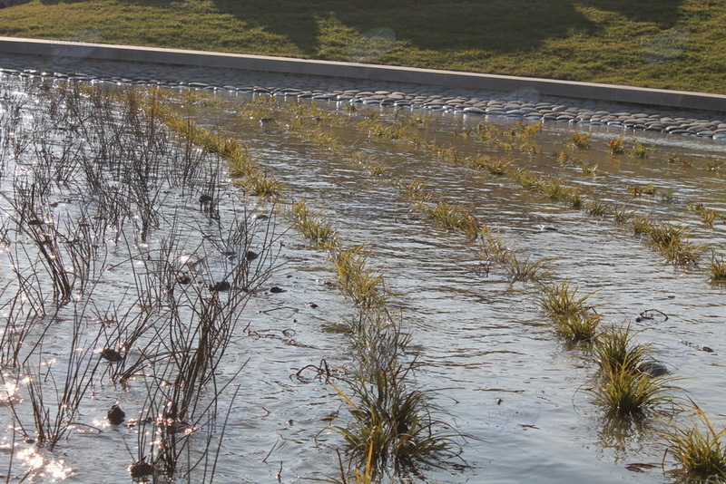 Проект "Мой Баку": Деде Горгуд. Один день у озера - РЕПОРТАЖ - ФОТО