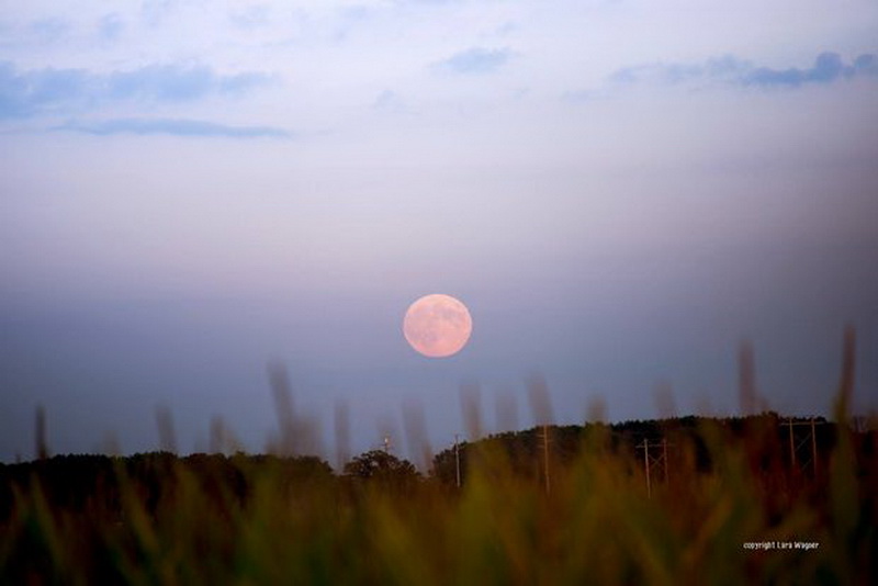 Земляне увидели самое яркое и красивое суперлуние 2014 года - ОБНОВЛЕНО - ФОТО