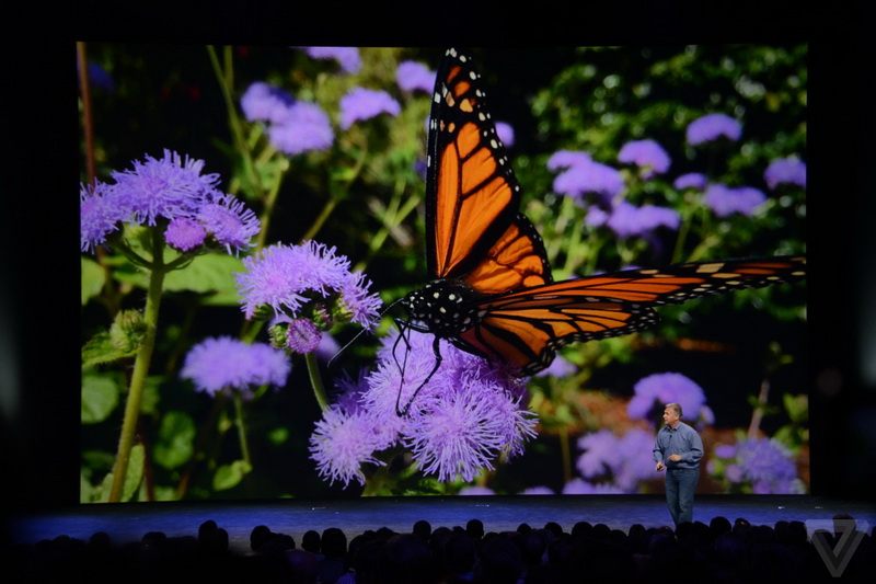 Apple представила два iPhone6, платежную систему и часы - ОБНОВЛЕНО - ФОТО - ВИДЕО