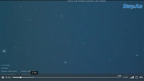 Ученые засняли гигантское "морское чудовище" - ВИДЕО