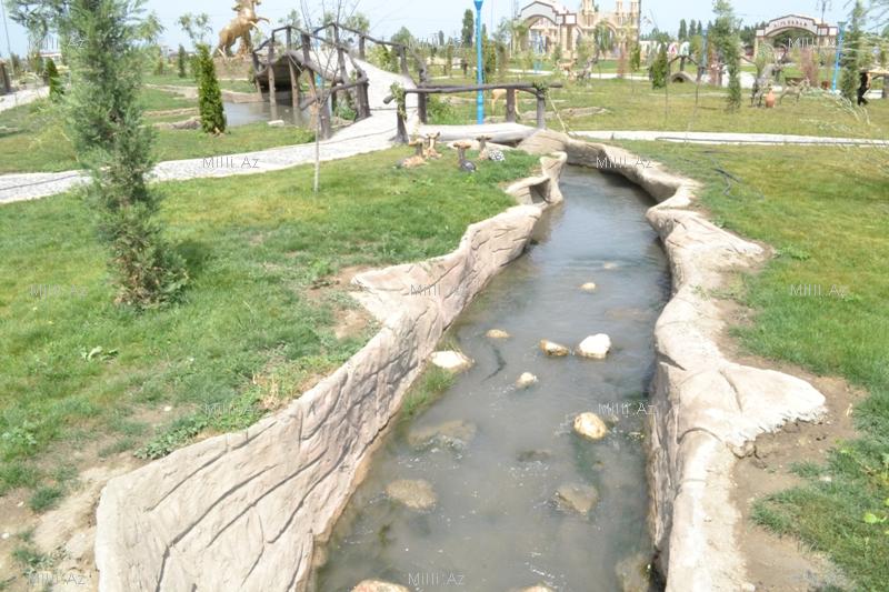 В одном из районов Азербайджана разбит удивительный парк - ФОТО
