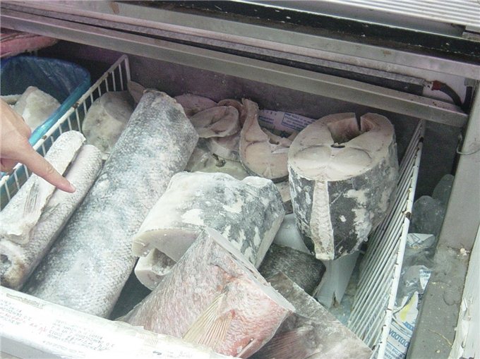Azərbaycanda dünyanın ən zəhərli balığı satılır - FOTO