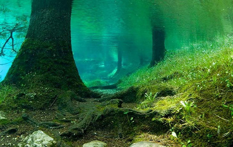 Призрачный парк Зеленого озера - ФОТОСЕССИЯ