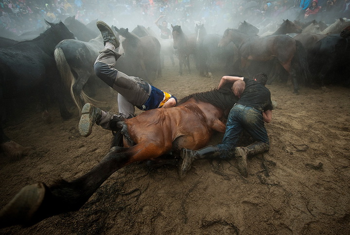 Главные снимки 2014 года по версии Agence France-Presse - ФОТОСЕССИЯ