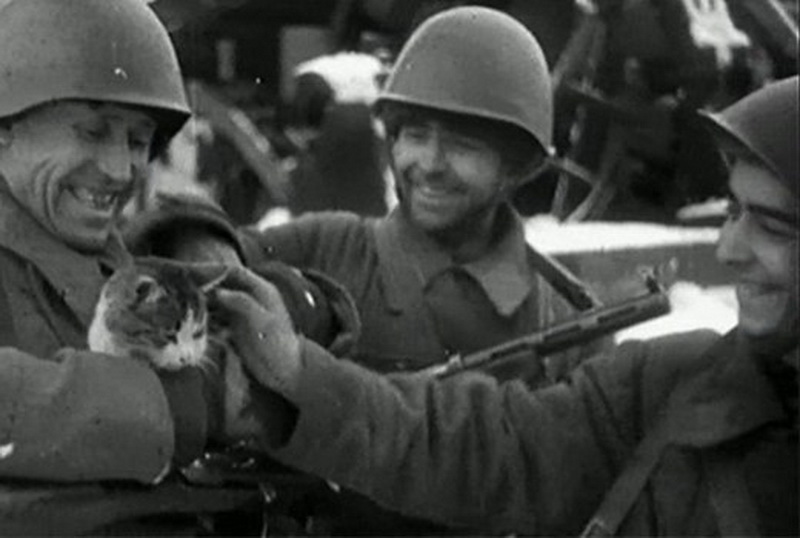 Кошкоеды: ужасные истории блокадного Ленинграда - ФОТО