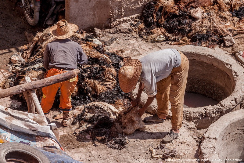 Марокко: как изготавливают натуральную кожу - ФОТОСЕССИЯ