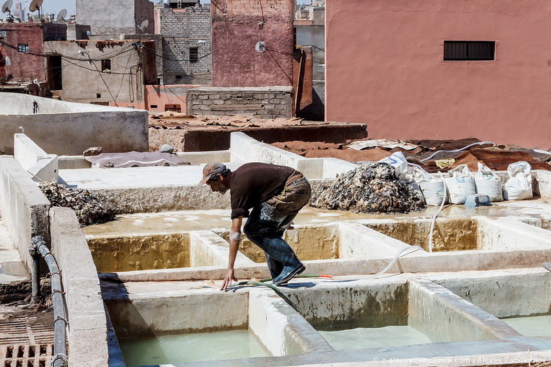 Марокко: как изготавливают натуральную кожу - ФОТОСЕССИЯ