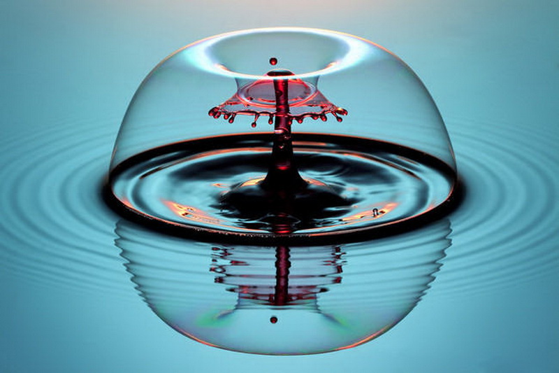 "Картинная галерея" Day.Az: Удивительная красота капель - ФОТО