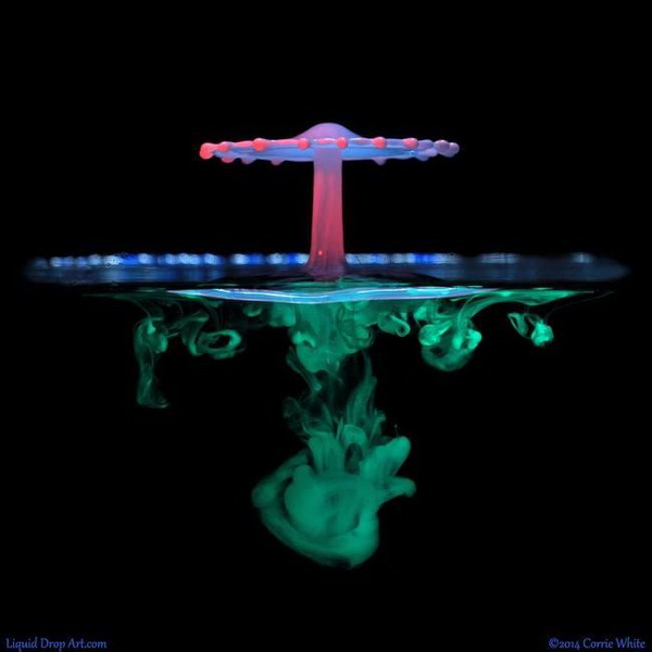 "Картинная галерея" Day.Az: Удивительная красота капель - ФОТО