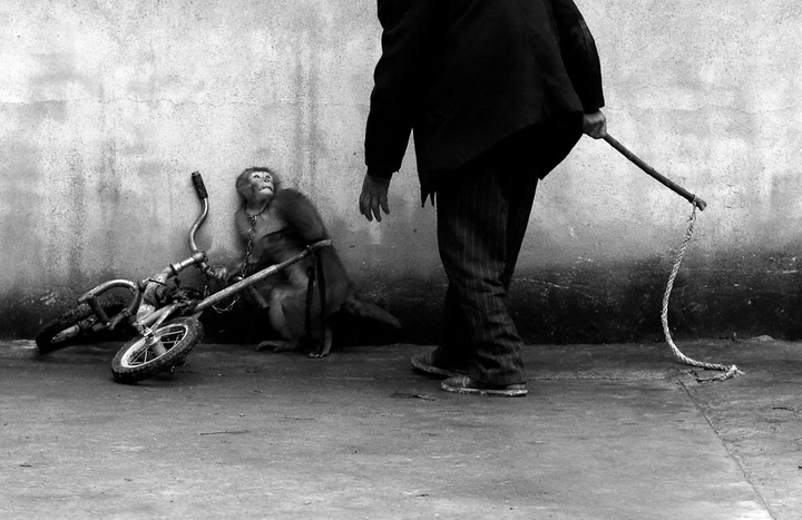 Фотоконкурс World Press Photo 2015 - ФОТОСЕССИЯ