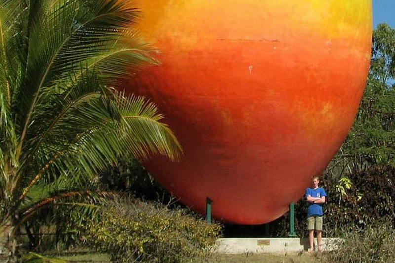 В Австралии грабители украли гигантский 7-тонный манго - ФОТО