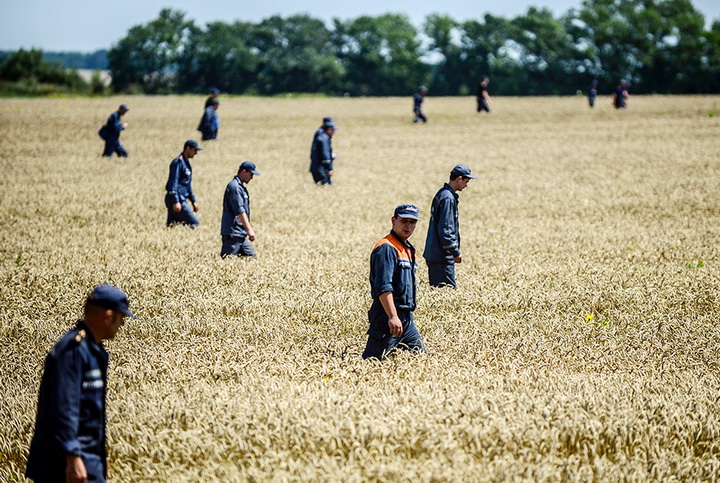 Главные снимки 2014 года по версии Agence France-Presse - ФОТОСЕССИЯ