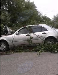 В Набрани Mercedes врезался в дерево - ОБНОВЛЕНО - ФОТО - ВИДЕО