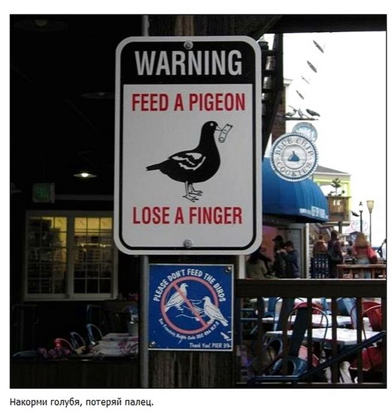 Самые забавные дорожные таблички по всему миру - ФОТО