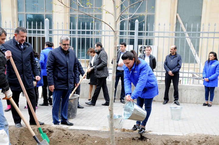 В Баку по инициативе вице-президента Фонда Гейдара Алиева Лейлы Алиевой состоялась озеленительная акция - ФОТО