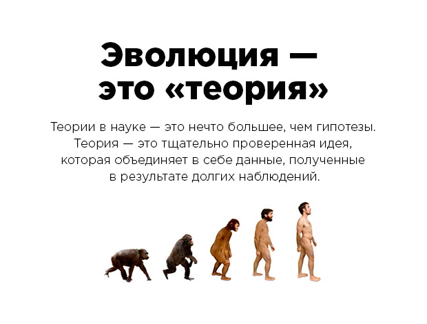 Эти факты рунета не имеют ничего общего с истиной