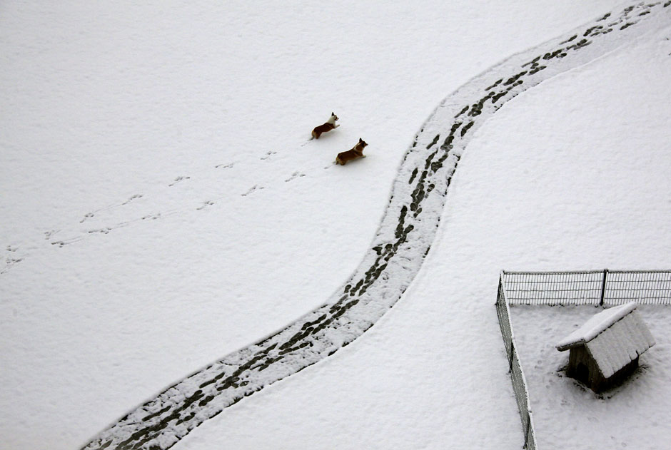 Лучшие фото REUTERS за март - ФОТОСЕССИЯ