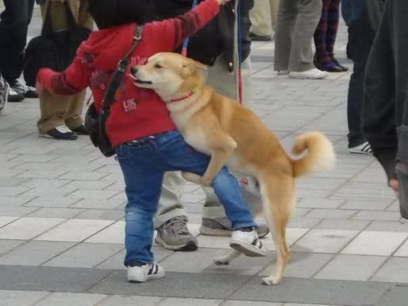 15 самых странных законов о любви в США - ФОТО