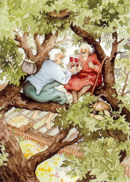 "Картинная галерея" Day.Az: Веселые финские бабки - ФОТО