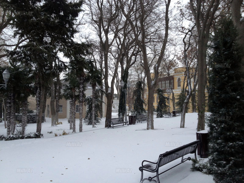В Баку пошел сильный снег - ОБНОВЛЕНО - ФОТО