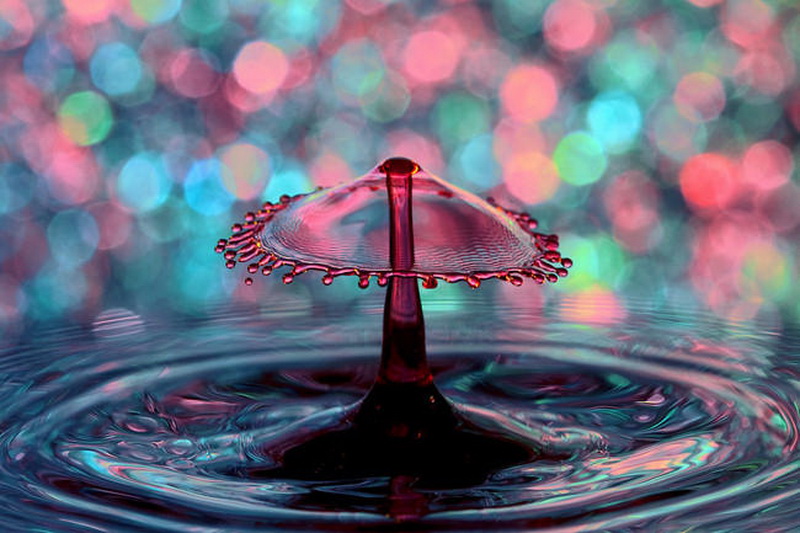 "Картинная галерея" Day.Az: Удивительная красота капель - ФОТО