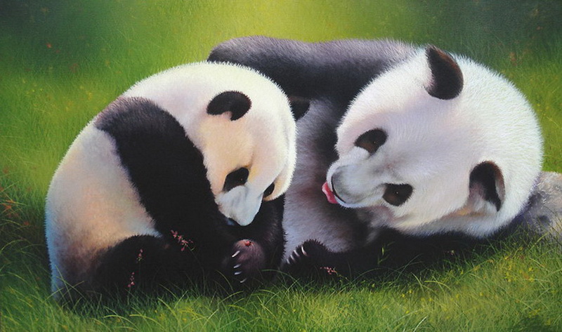 "Картинная галерея Day.Az": Умилительные животные - ФОТО