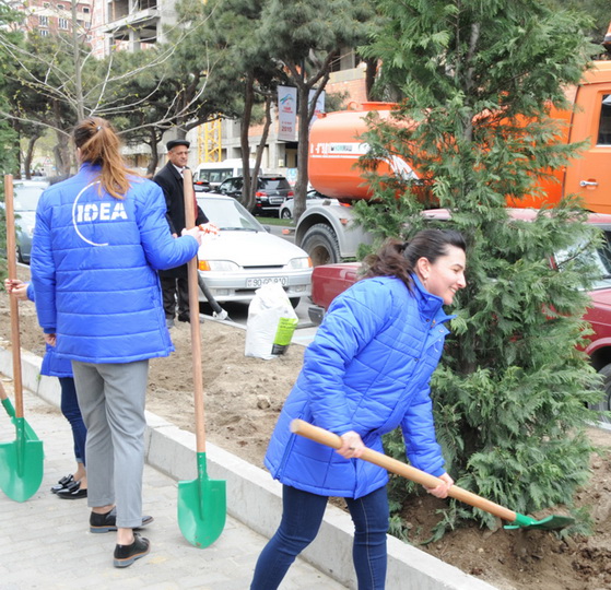 В Баку по инициативе вице-президента Фонда Гейдара Алиева Лейлы Алиевой состоялась озеленительная акция - ФОТО