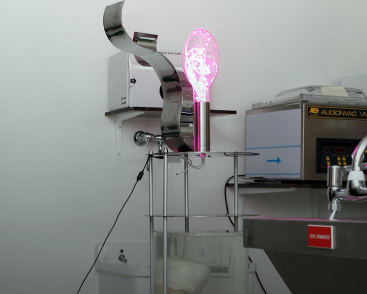 Мужчина выставил на продажу на eBay собственную ногу - ФОТО