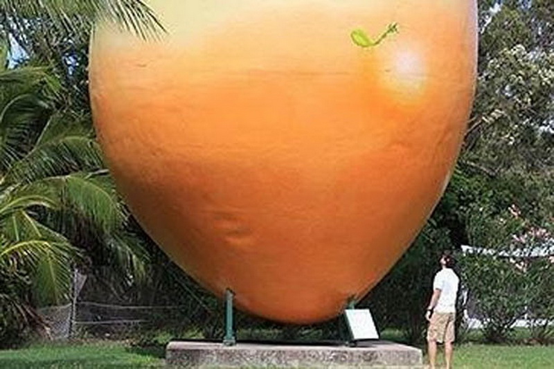 В Австралии грабители украли гигантский 7-тонный манго - ФОТО